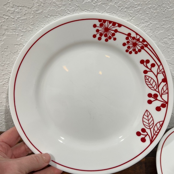 Corelle Berries and Leaves Vintage Retired dishes
